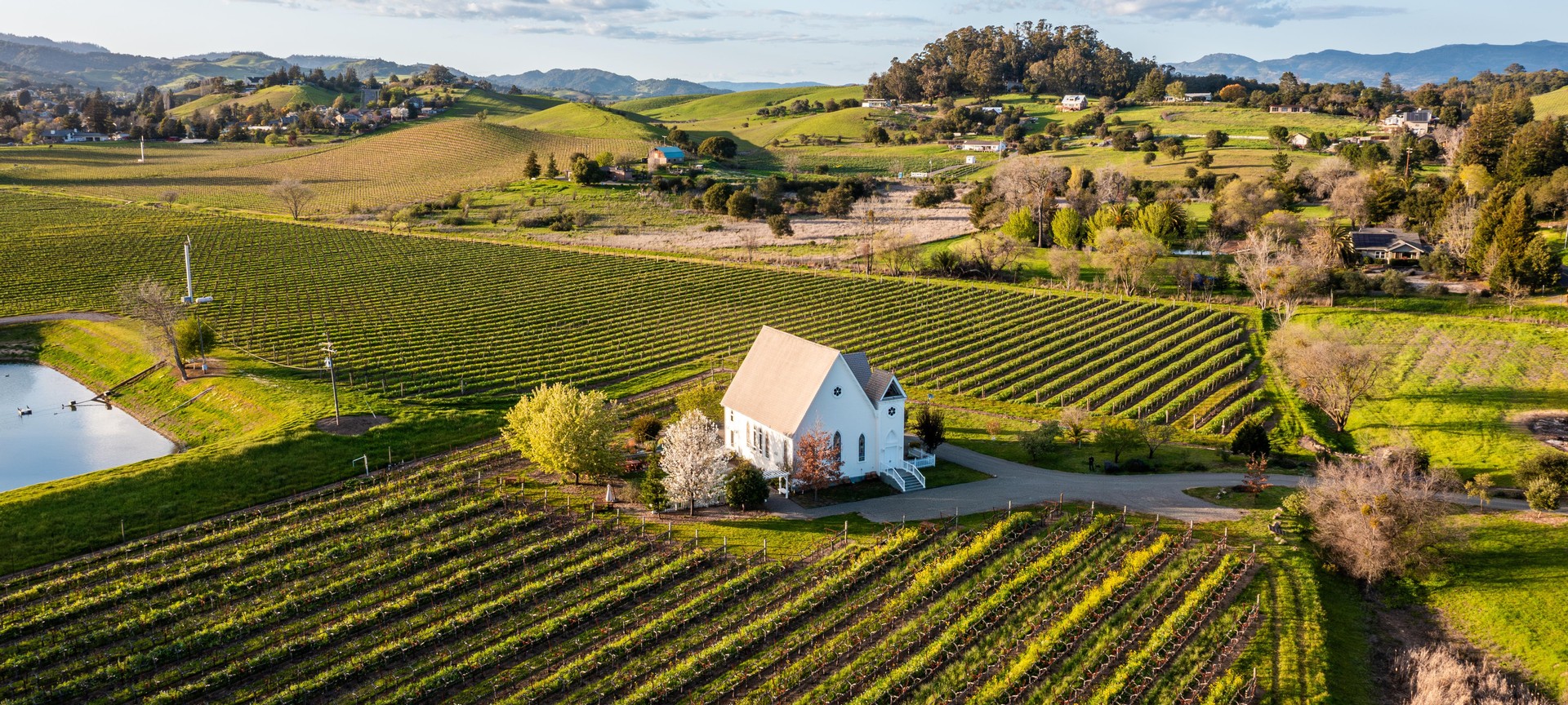 Aerial view of a white church nestled among expansive, sunlit vineyard rows.