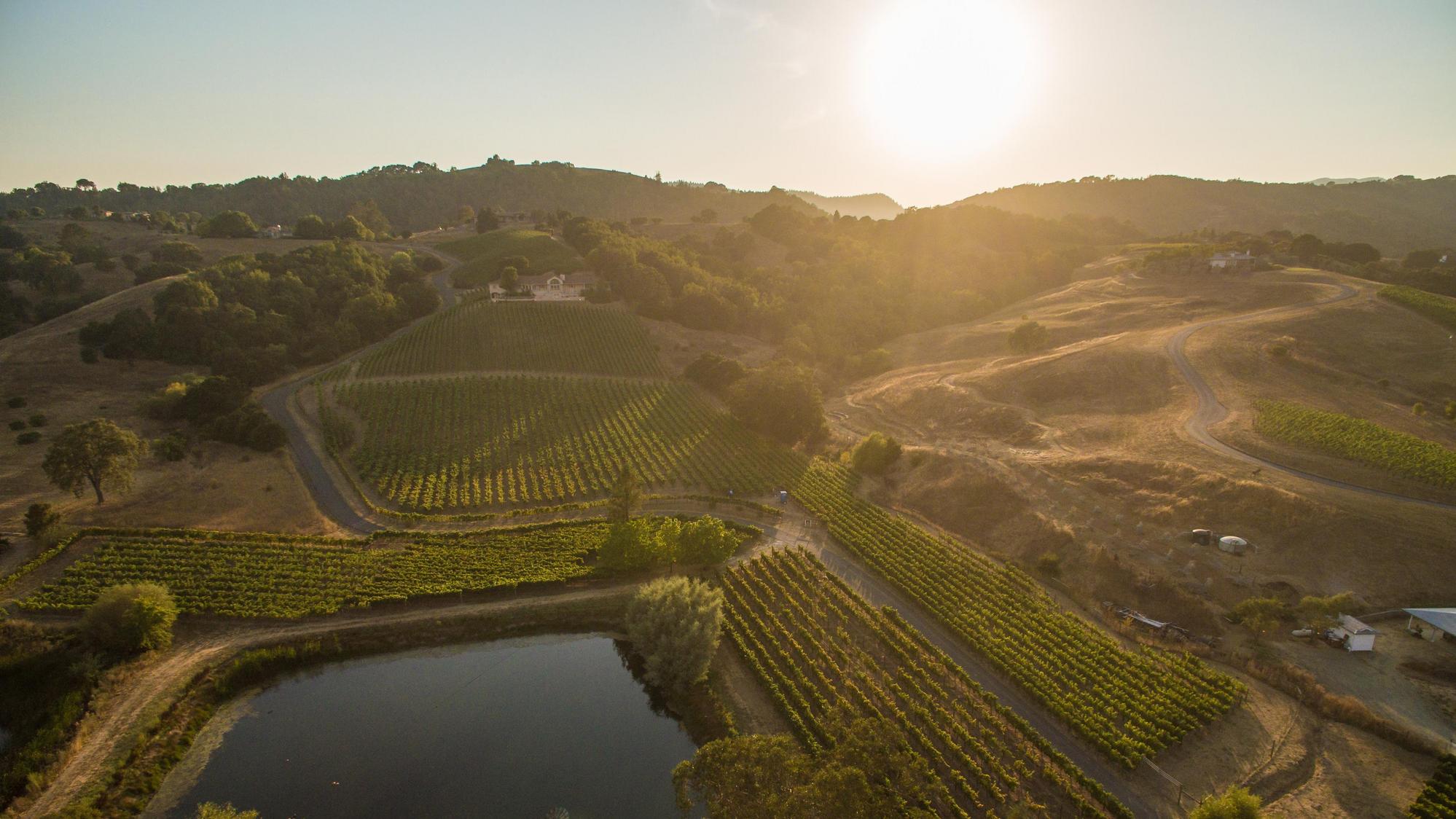 John Anthony Vineyards