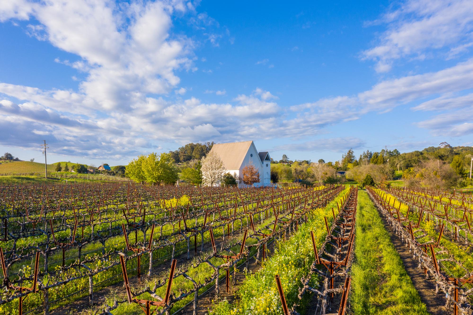 John Anthony Vineyards