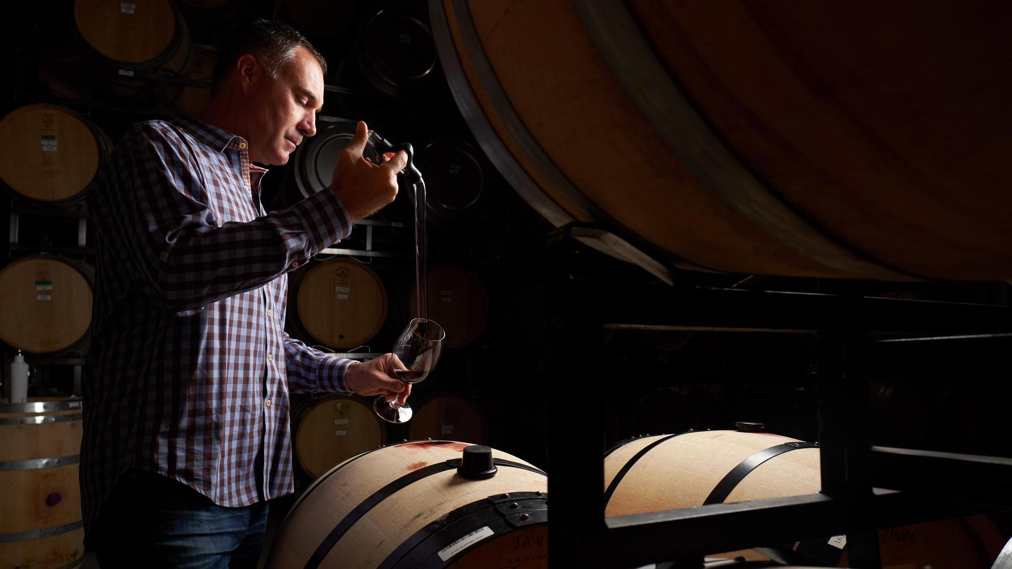 Tasting in the cellar room