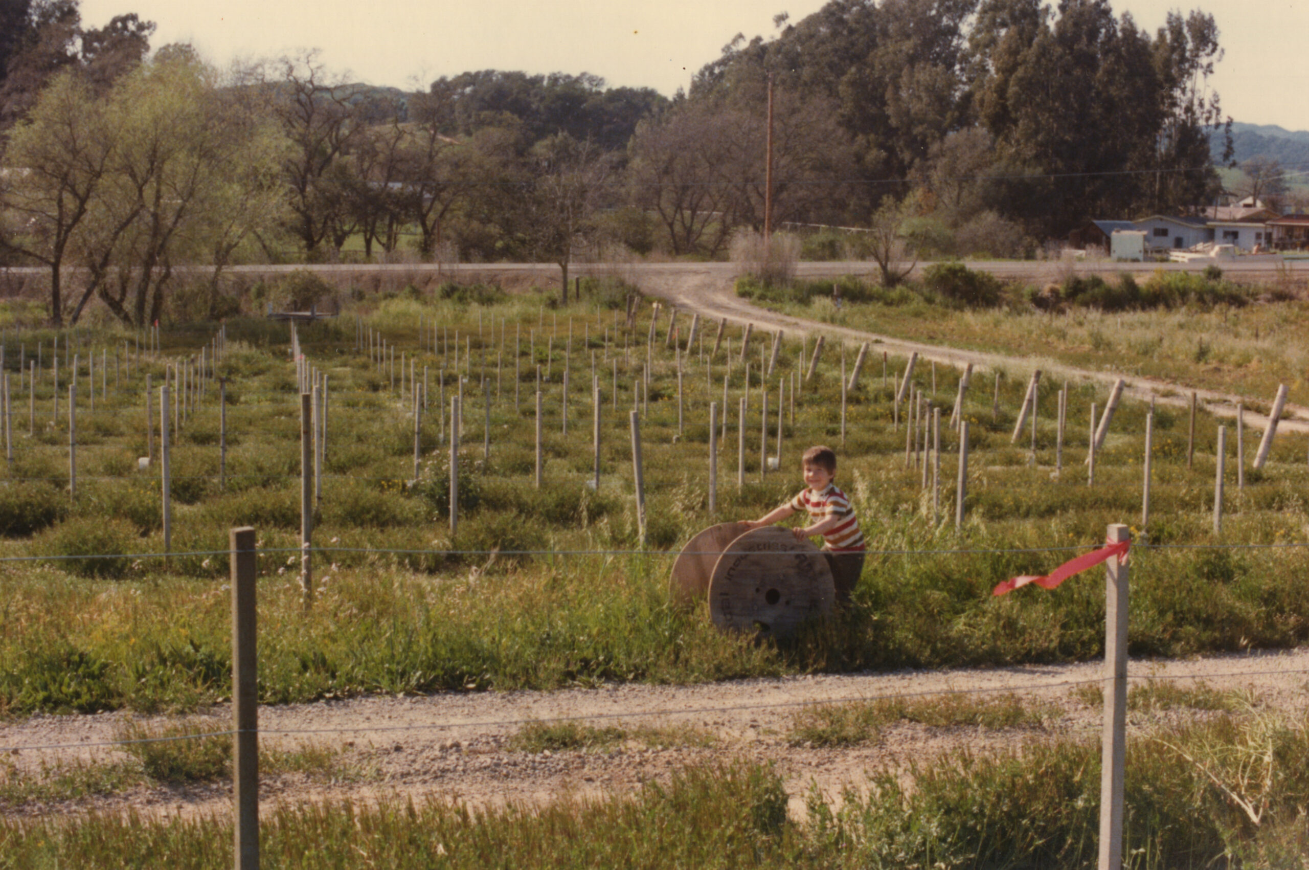 Old photo of kids at John Anthony Vieyards